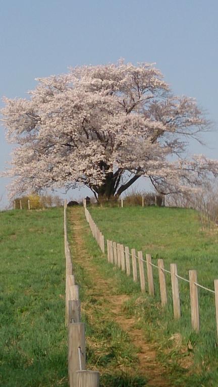 Active Resorts Iwate Hachimantai Hachimantai  المظهر الخارجي الصورة